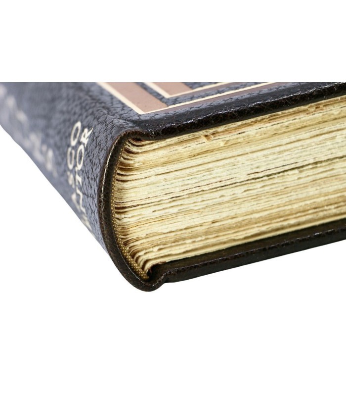 OVIDE - Les Amours d’Ovide - MENTOR (Blasco)