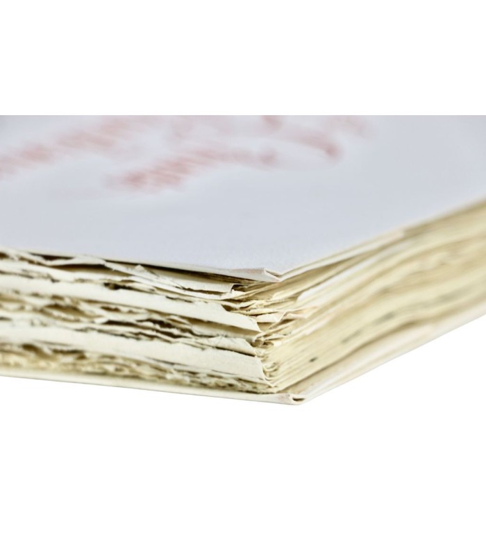 BUFFON - Les Chants du printemps - NOTTON (Tavy)