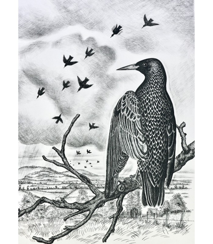 BUFFON - Les Chants du printemps - NOTTON (Tavy)