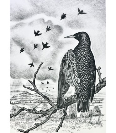 BUFFON - Les Chants du printemps - NOTTON (Tavy)