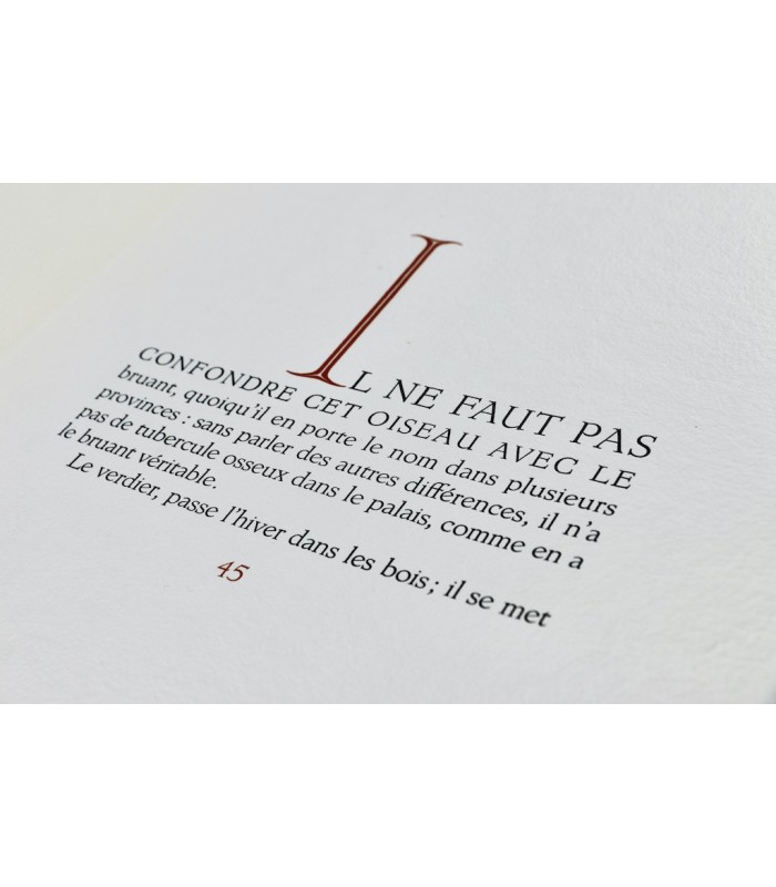 BUFFON - Les Chants du printemps - NOTTON (Tavy)