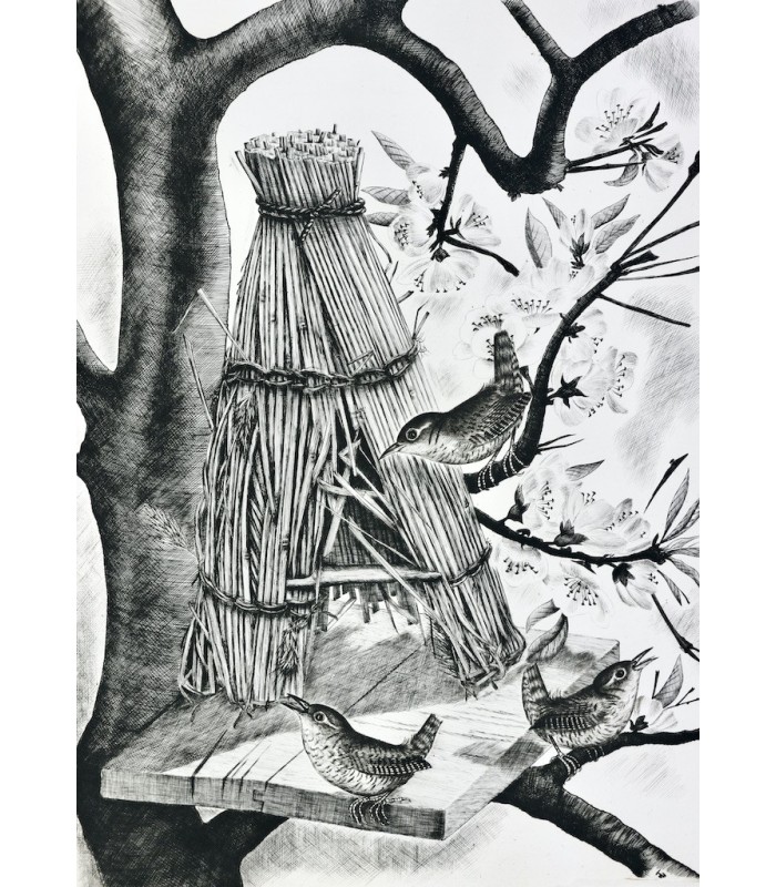 BUFFON - Les Chants du printemps - NOTTON (Tavy)