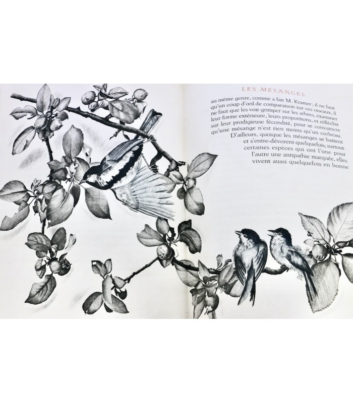 BUFFON - Les Chants du printemps - NOTTON (Tavy)