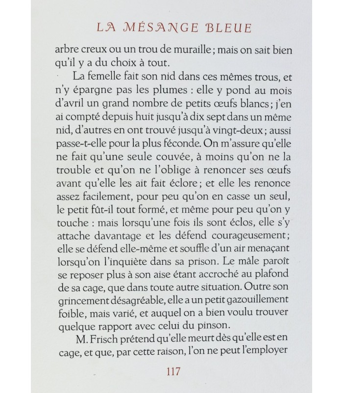 BUFFON - Les Chants du printemps - NOTTON (Tavy)