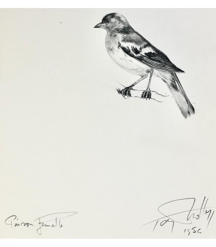 BUFFON - Les Chants du printemps - NOTTON (Tavy)