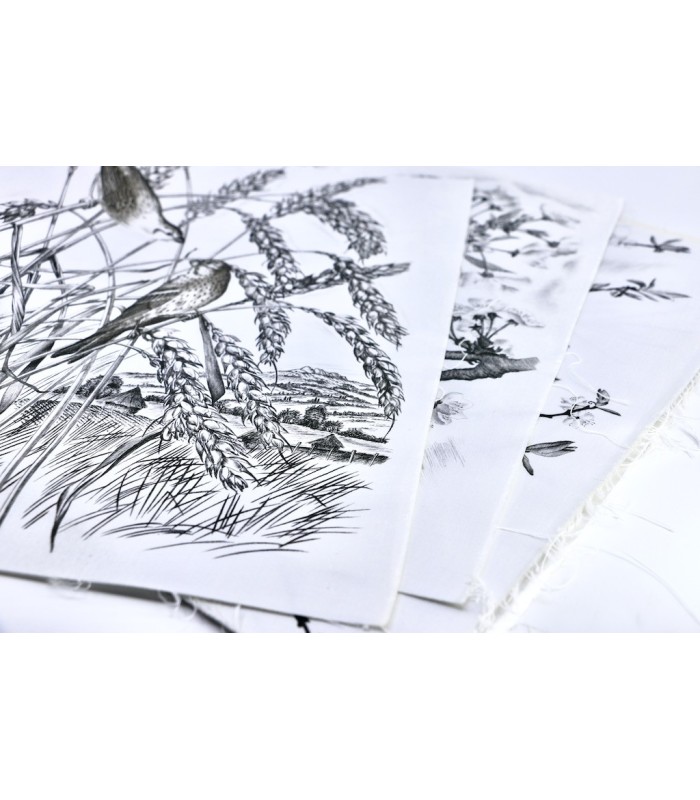 BUFFON - Les Chants du printemps - NOTTON (Tavy)