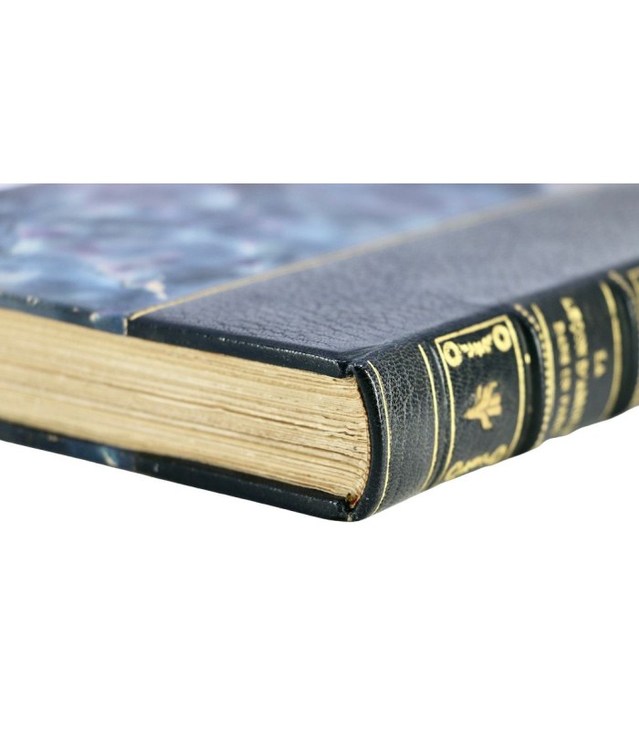 BOYLESVE (René) - La leçon d'amour dans un parc. Les nouvelles leçons d'amour dans un parc - SAUVAGE (Sylvain)