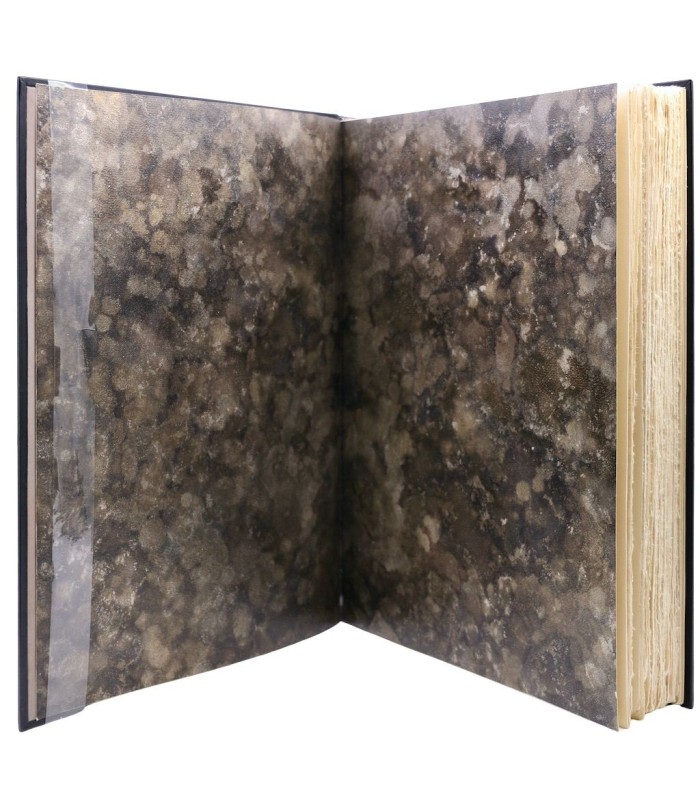 LE MAISTRE DE SACY - Évangile selon Saint-Luc - CHADEL (Luc)