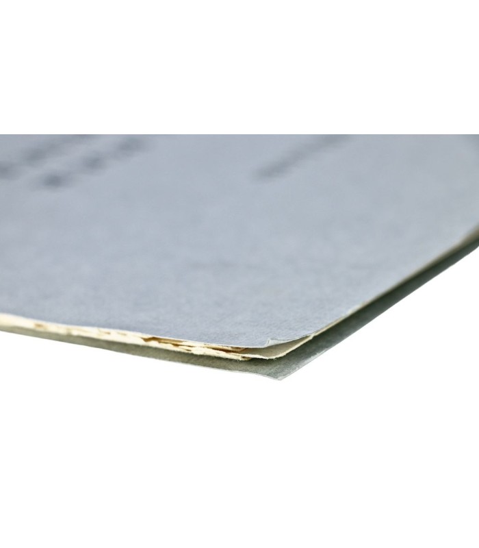 CAILLOIS (Roger) & BIANCIOTTI (Hector) - Brouillon pour une confidence - GOEZU (André)