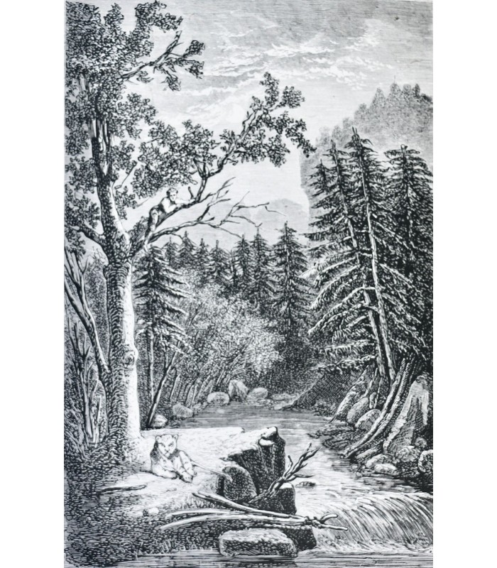 [GODINS DE SOUHESMES (Gaston des)‎] - Fables