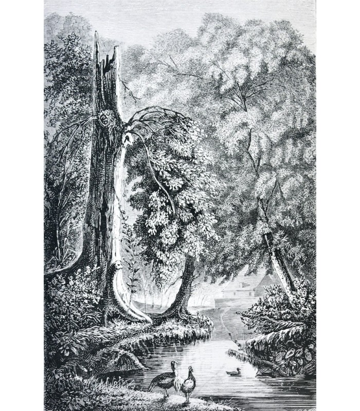 [GODINS DE SOUHESMES (Gaston des)‎] - Fables