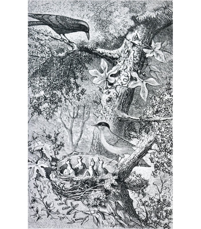 [GODINS DE SOUHESMES (Gaston des)‎] - Fables