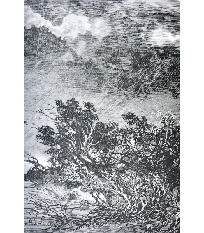 [GODINS DE SOUHESMES (Gaston des)‎] - Fables