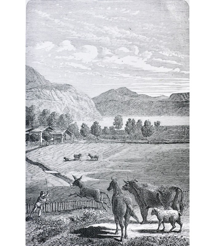 [GODINS DE SOUHESMES (Gaston des)‎] - Fables