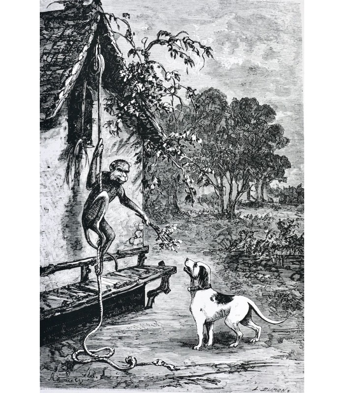 [GODINS DE SOUHESMES (Gaston des)‎] - Fables