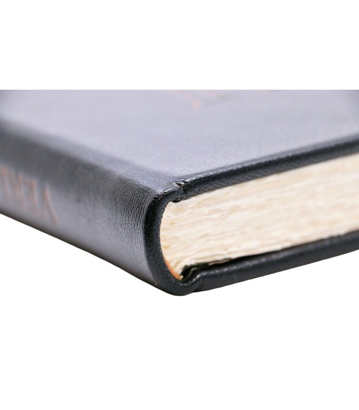 VERLAINE (Paul) - Parallèlement - MATHONNAT (Michel)