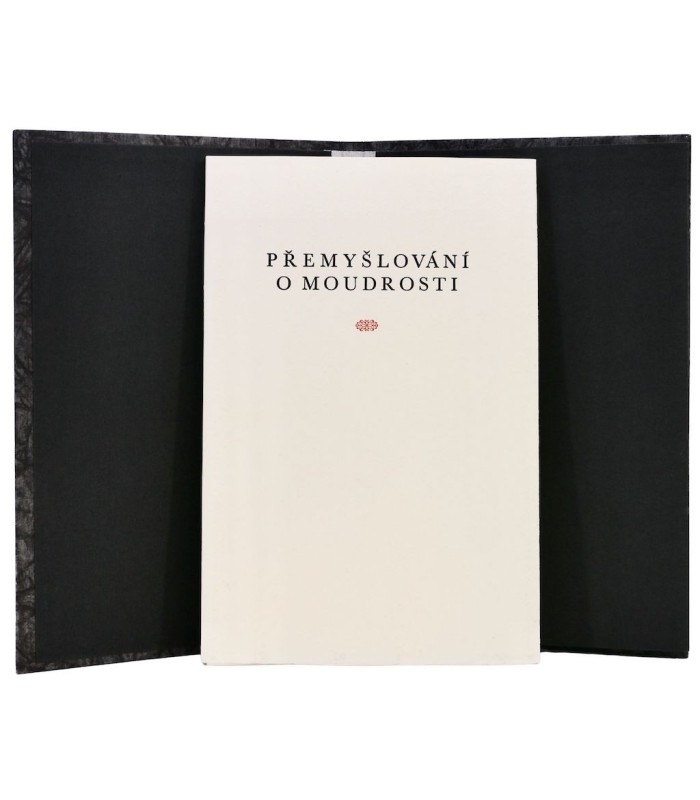 KOMENSKY (Jan Amos) - Přemyšlování o moudrosti - KRALOVA (Markéta)