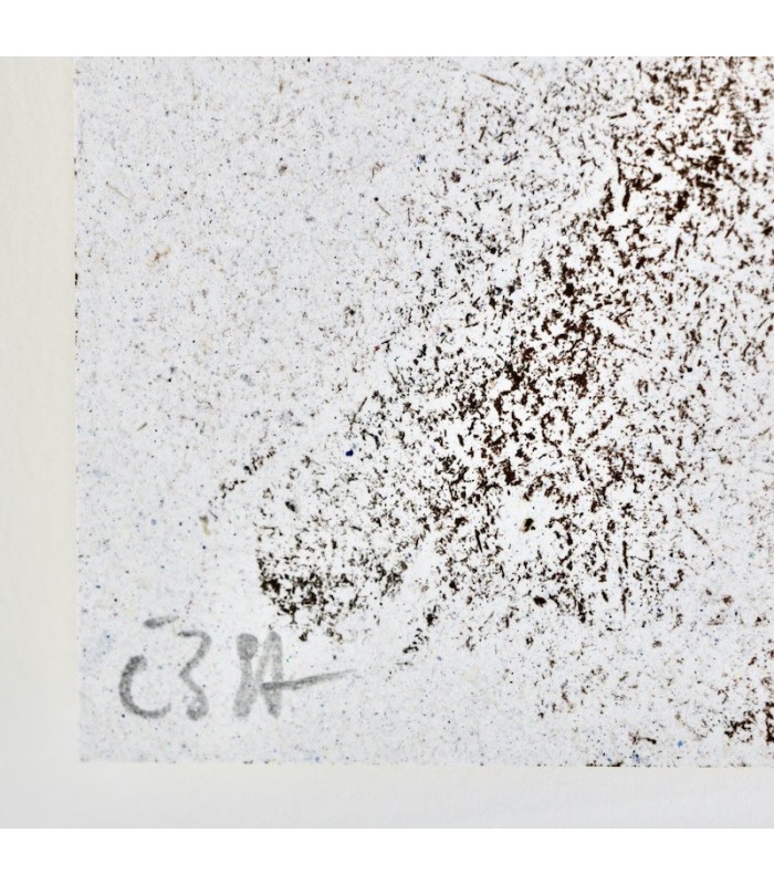 HAMEURY (Jean-Paul) - Balboa - BRAULT (Éric)