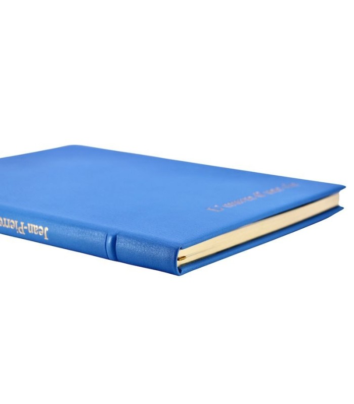 GERMANIER (Véronique) - Jean-Pierre Rémon. L’Oeuvre d’une vie - RÉMON (Jean-Pierre)