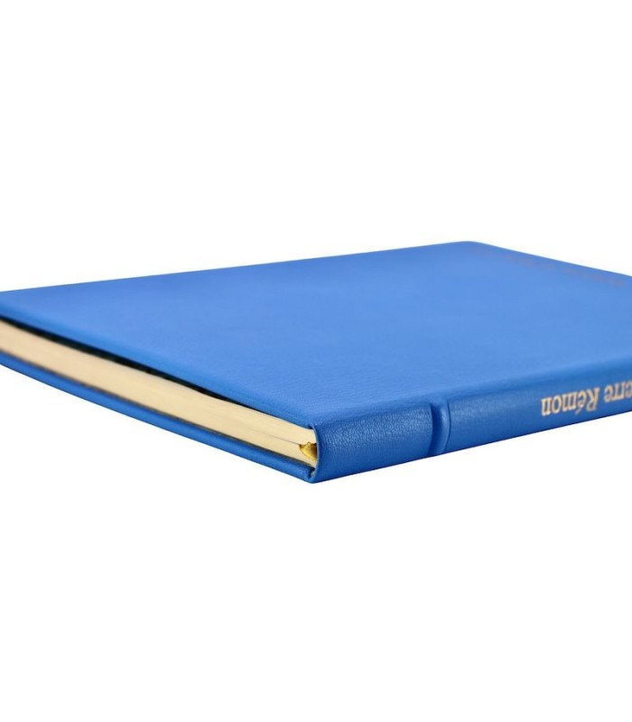 GERMANIER (Véronique) - Jean-Pierre Rémon. L’Oeuvre d’une vie - RÉMON (Jean-Pierre)