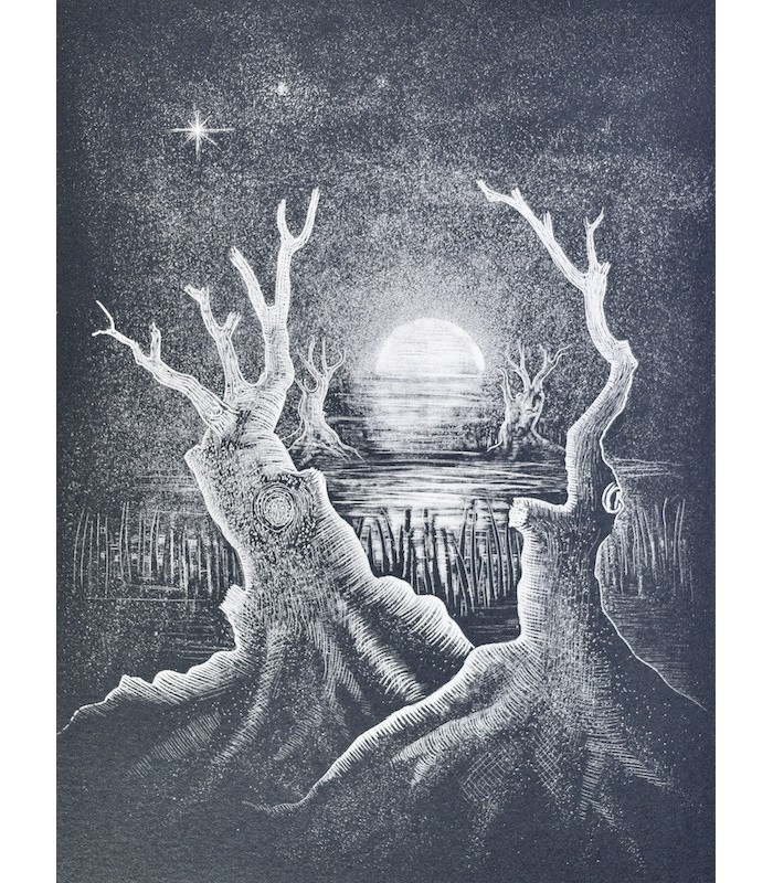 POE (Edgar Allan) - La Chute de la Maison Usher - RISCHMANN (Ram)