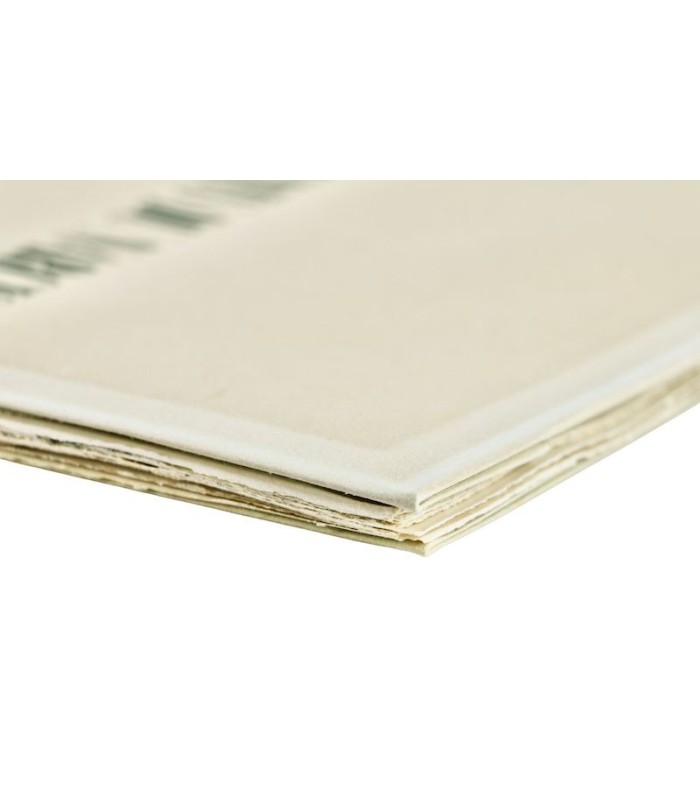 VALÉRY (Paul) - Fragments du Narcisse - JOSSO (Camille)