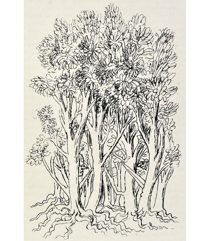 DEVAUX (Pierre) - La Verte Hélène