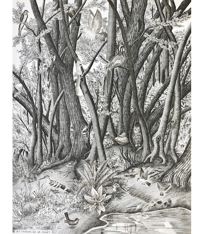 BUFFON - Les Chants de la Forêt - NOTTON (Tavy)