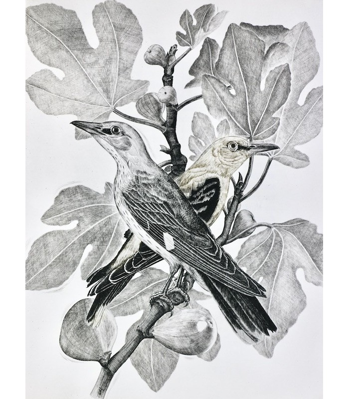 BUFFON - Les Chants de la Forêt - NOTTON (Tavy)