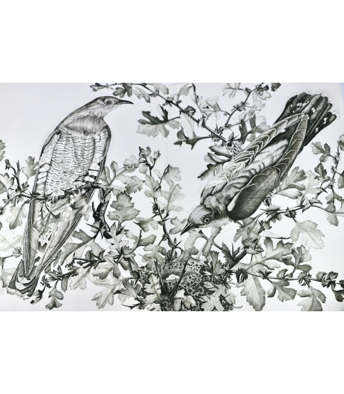 BUFFON - Les Chants de la Forêt - NOTTON (Tavy)