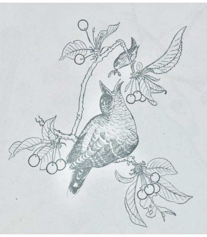 BUFFON - Les Chants de la Forêt - NOTTON (Tavy)