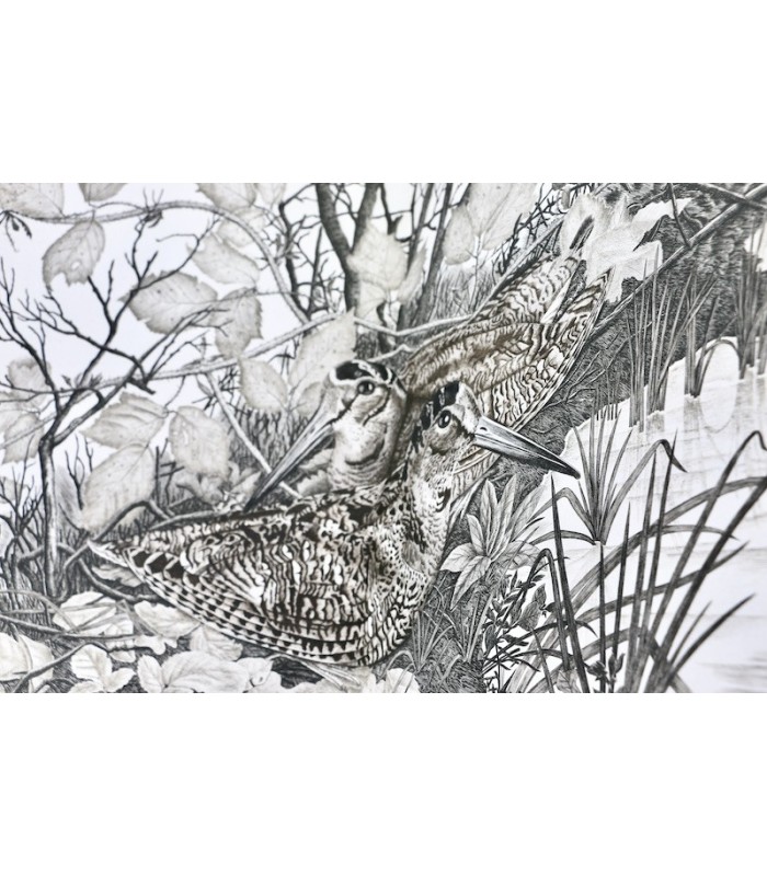 BUFFON - Les Chants de la Forêt - NOTTON (Tavy)