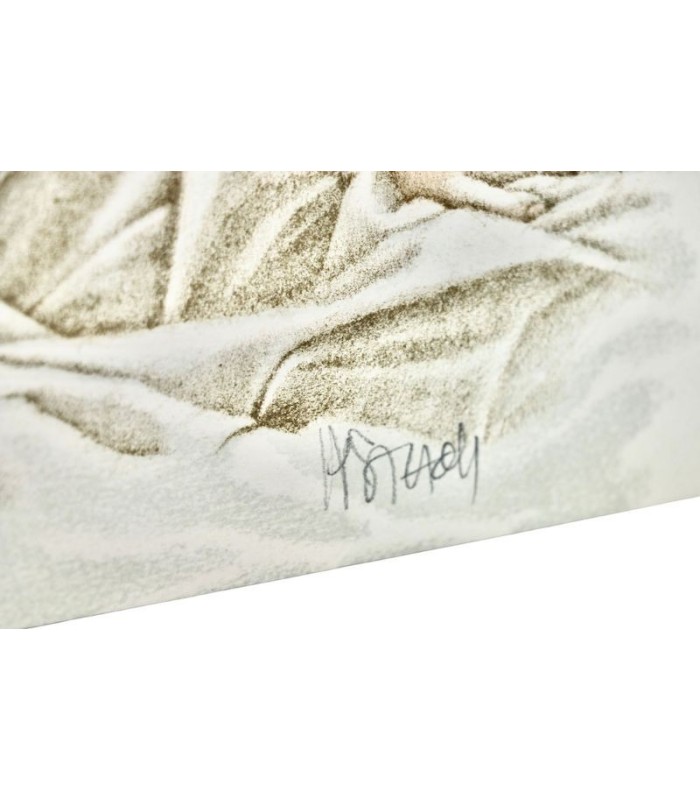 MIRABEAU (Comte de) - Le Rideau levé ou l’Éducation de Laure - STHOLL (Jean-Pierre)