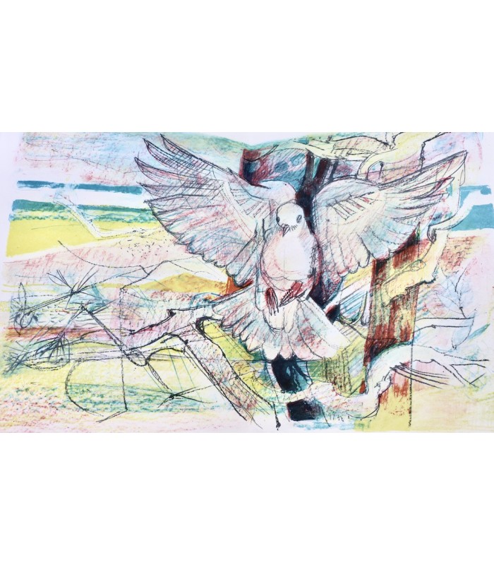 BERNARD (Chantal) - Le Livre international de la Paix - AMBILLE (Paul)