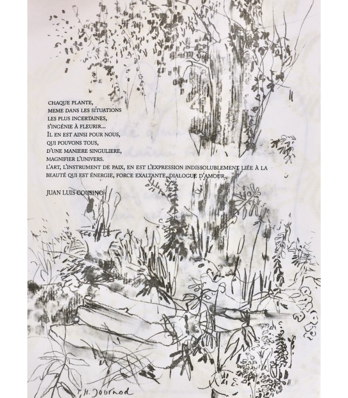 BERNARD (Chantal) - Le Livre international de la Paix - AMBILLE (Paul)