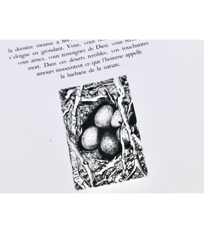 MICHELET (Jules) - L’Oiseau - JACQUEMIN (André)