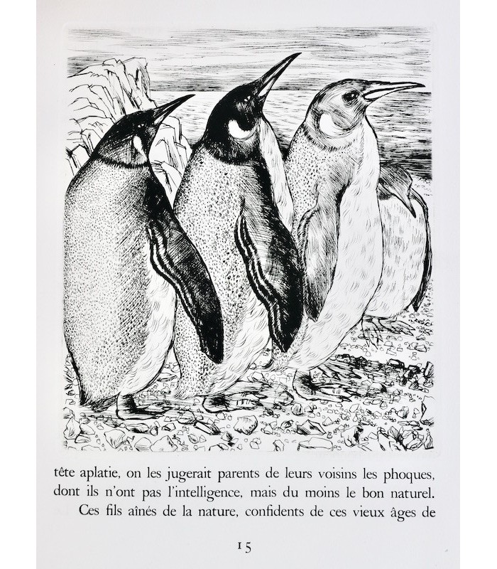 MICHELET (Jules) - L’Oiseau - JACQUEMIN (André)