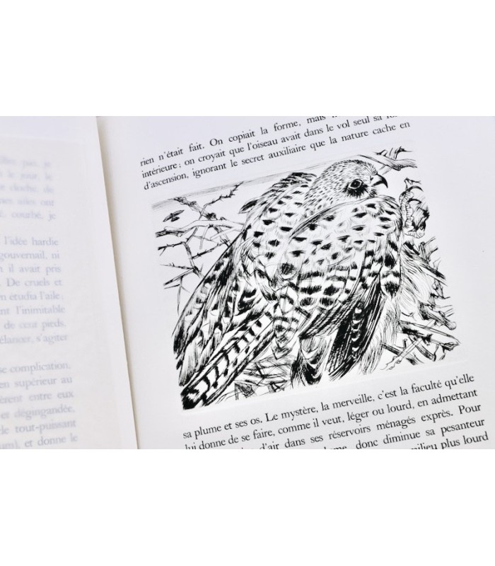 MICHELET (Jules) - L’Oiseau - JACQUEMIN (André)