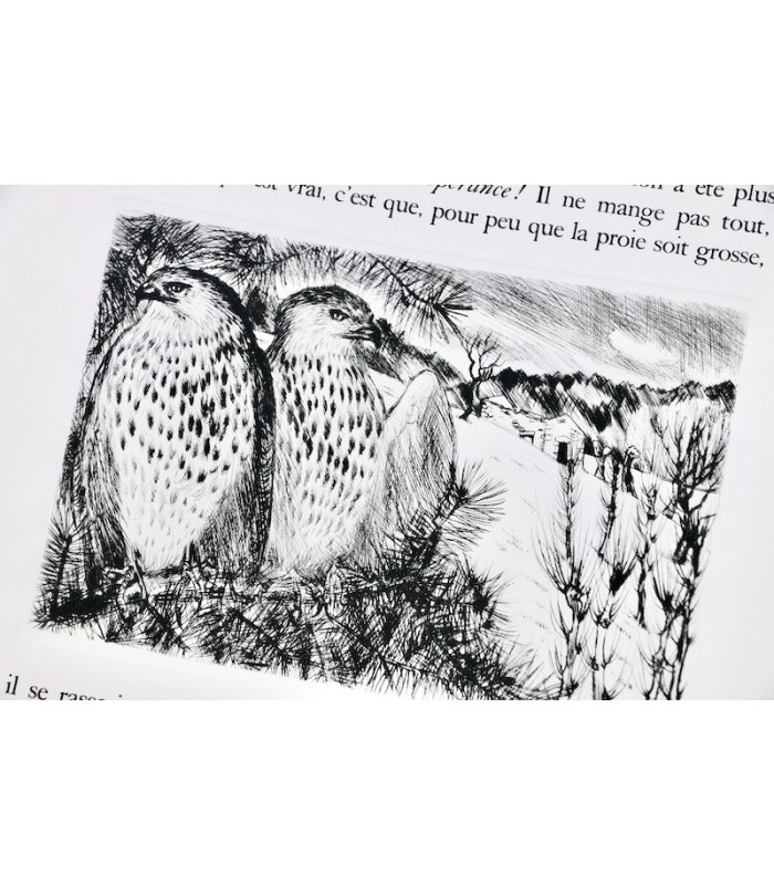 MICHELET (Jules) - L’Oiseau - JACQUEMIN (André)