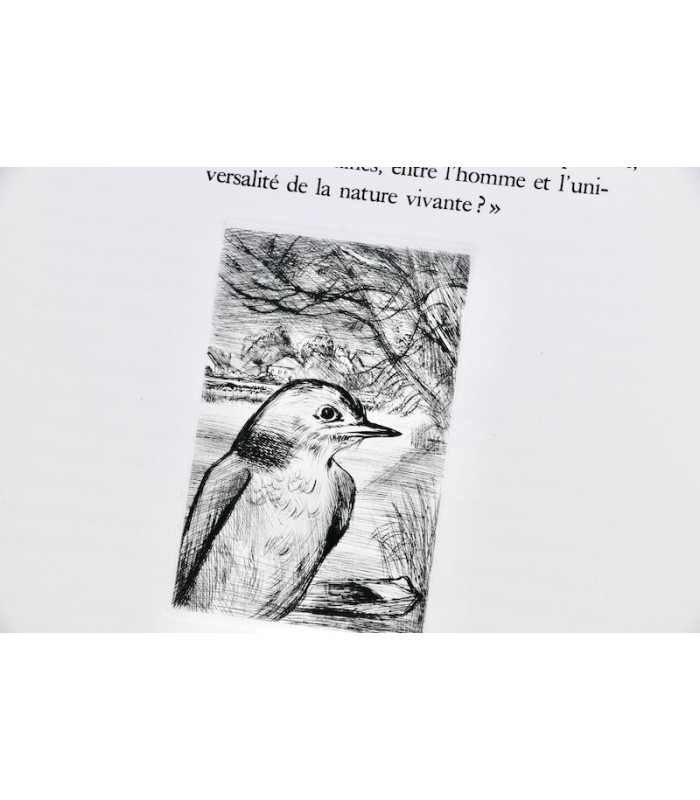 MICHELET (Jules) - L’Oiseau - JACQUEMIN (André)
