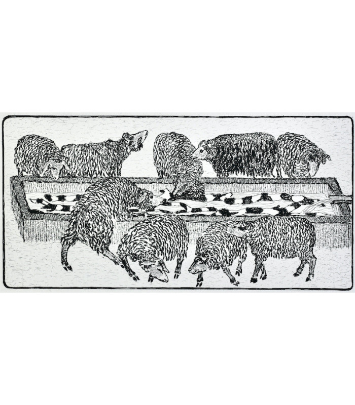 MAISTRE DE SACY - La Genèse - HOUPLAIN (Jacques)