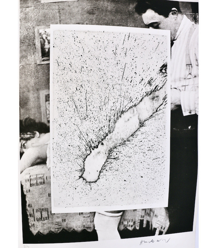 ALECHINSKY (Pierre) - Comme à la maison