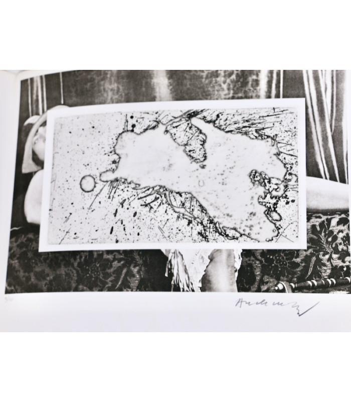 ALECHINSKY (Pierre) - Comme à la maison