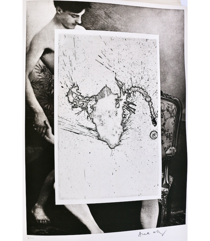 ALECHINSKY (Pierre) - Comme à la maison