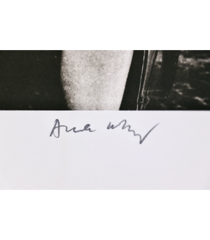 ALECHINSKY (Pierre) - Comme à la maison