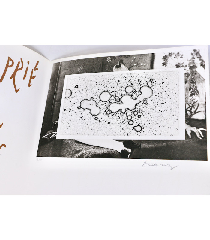 ALECHINSKY (Pierre) - Comme à la maison