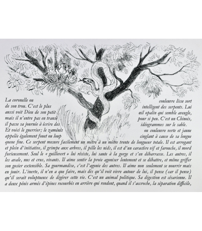 GIONO (Jean) - Quand les mystères sont très malins - BRAYER (Yves)