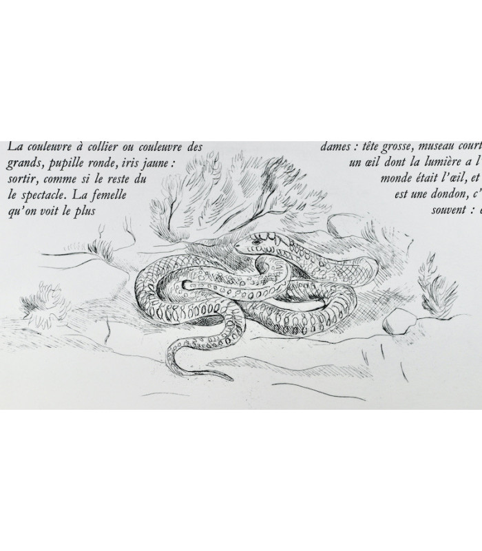 GIONO (Jean) - Quand les mystères sont très malins - BRAYER (Yves)