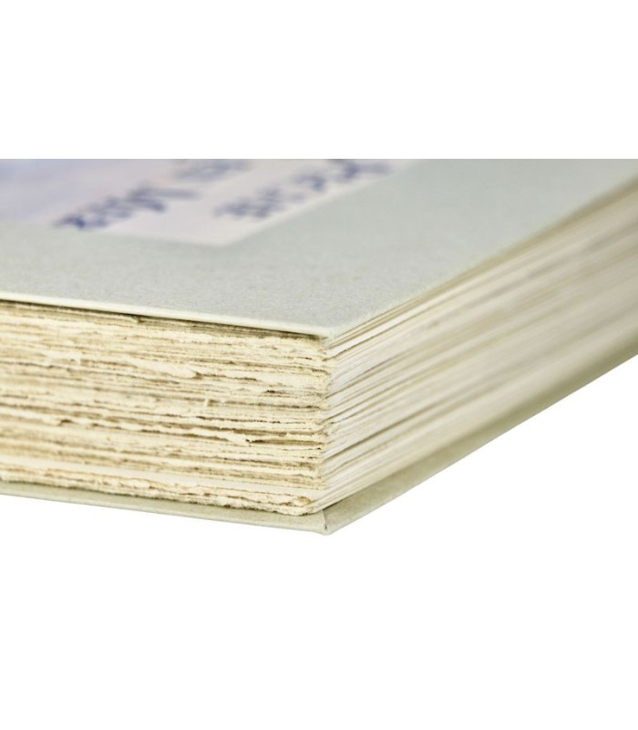 THOMAZI (Commandant) - La Pêche en mer - FOUQUERAY (Charles)