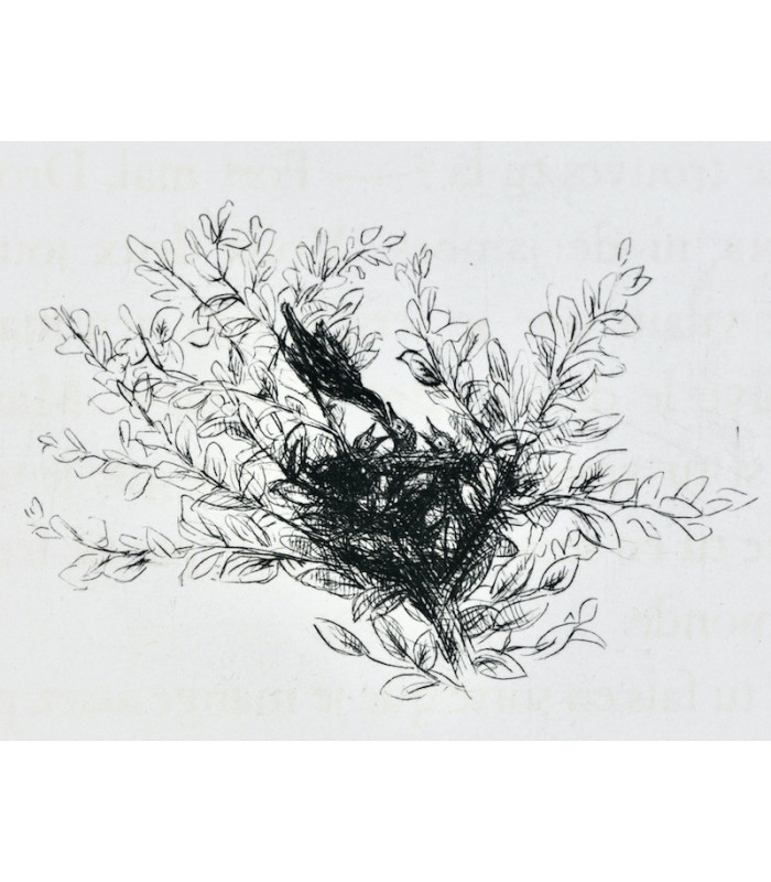 PAULIN - Le Roman de Renart - FRÉLAUT (Jean)